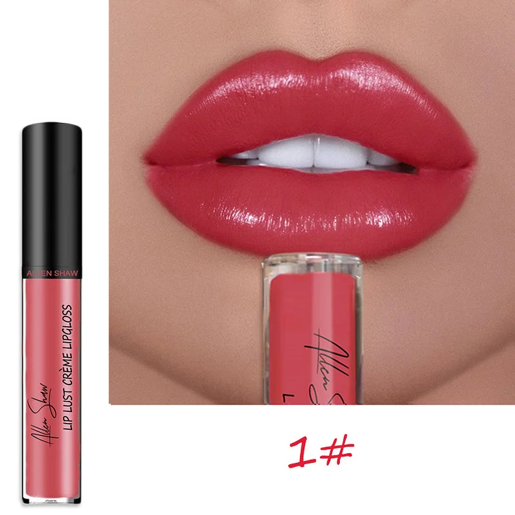 Sexy Women Lipstick Waterproof Long Lasting Moist Lip | 168DEAL