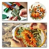 Pumpkin-Embroidery Kit