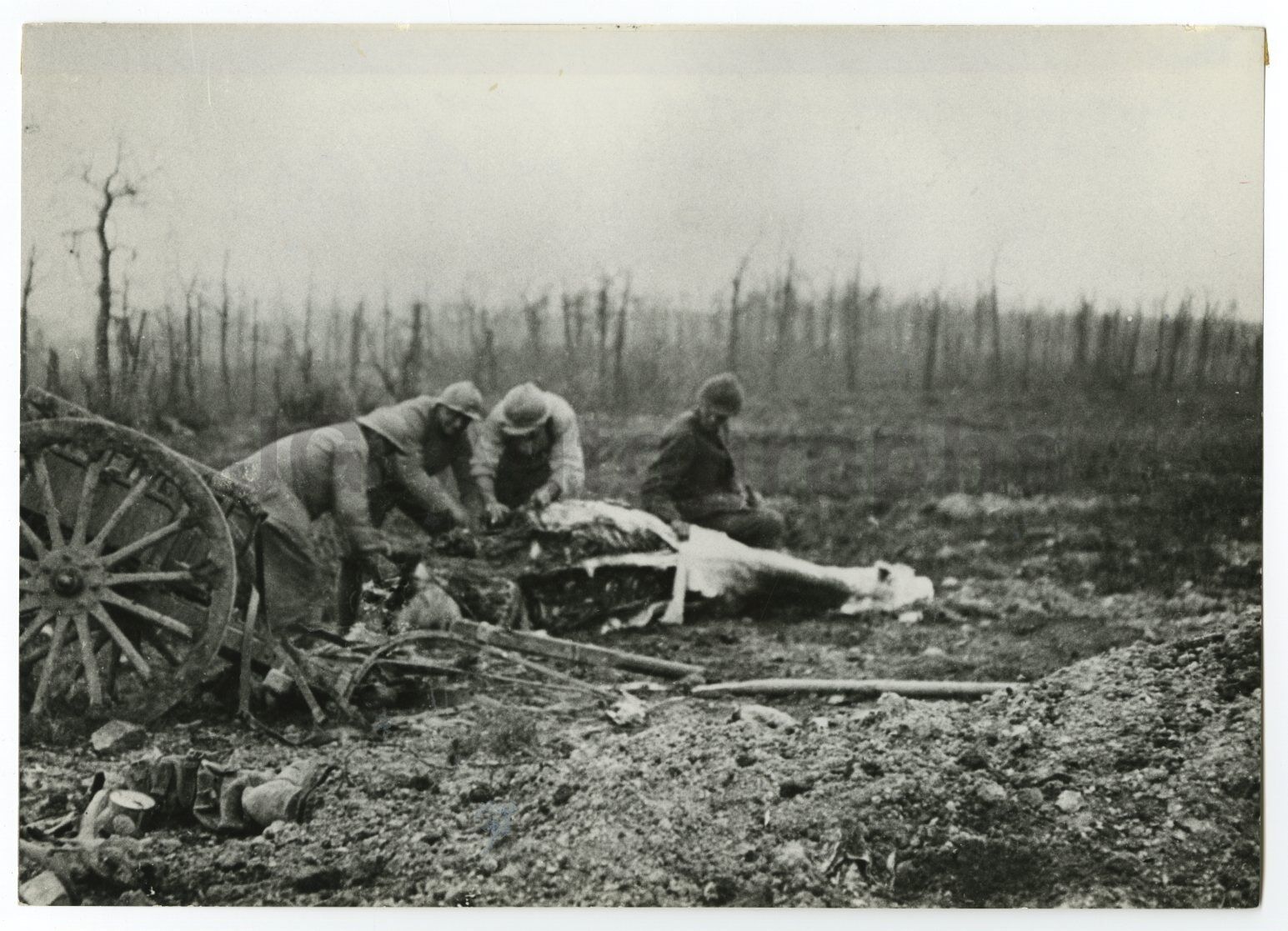 World War I - Vintage 7x10 Publication Photo Poster paintinggraph - Battle of Verdun