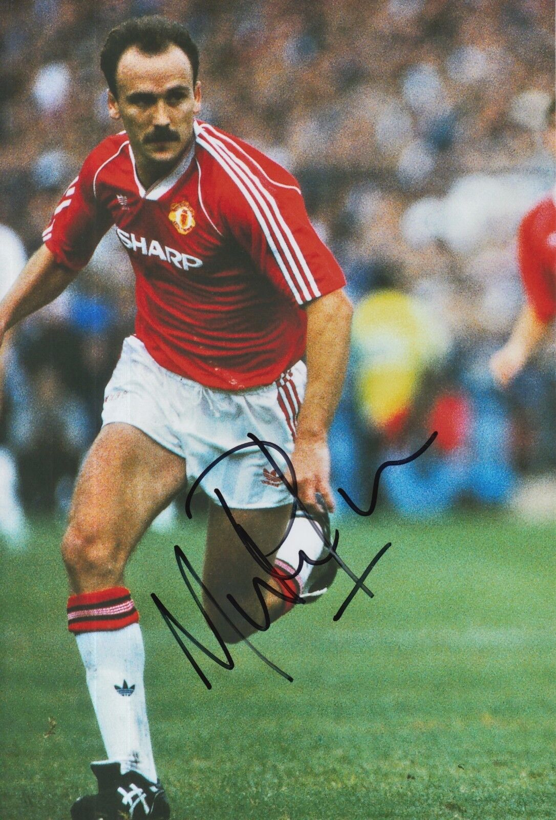 Mike Phelan Hand Signed Manchester United 12x8 Photo Poster painting.