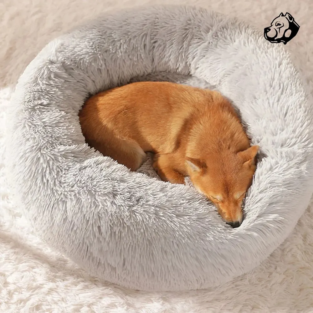 Calming Bed