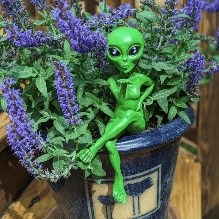 🤣2025 Funny Alien Artwork