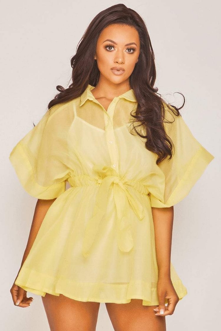 Yellow Mesh Shirt Dress | Dresses 