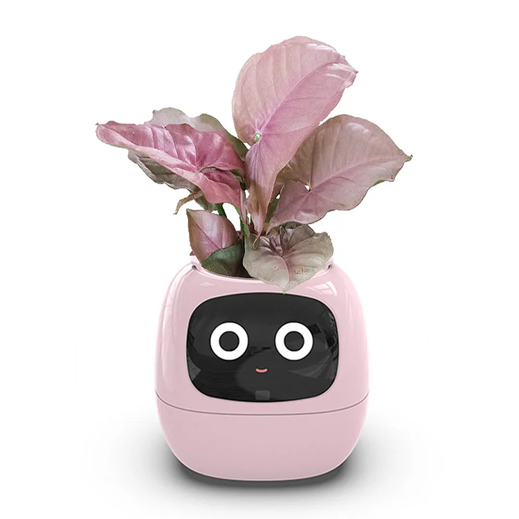 PLANTSIO Ivy - Smart Flowerpots, Endless Fun