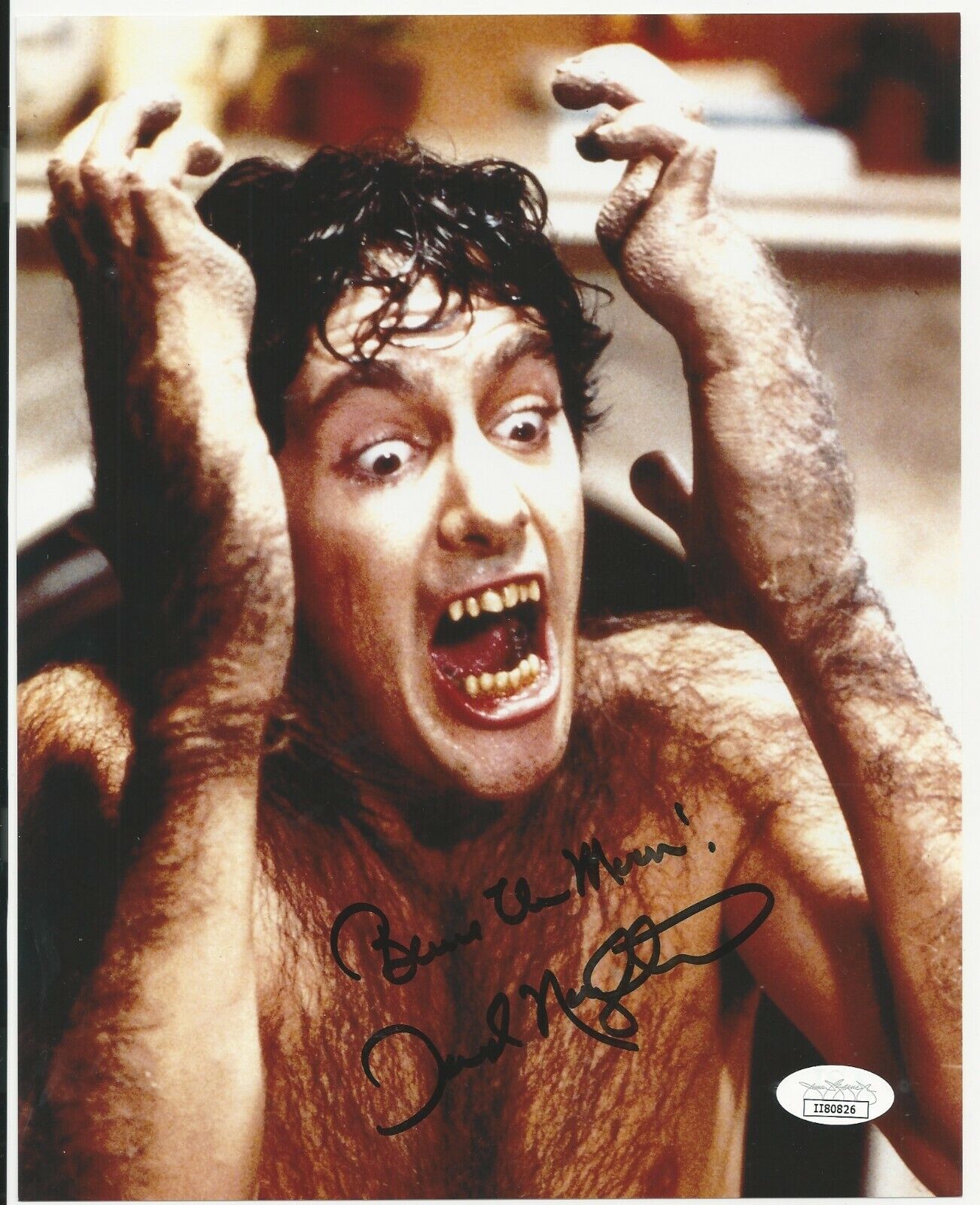 David Naughton - An American Werewolf in London signed Photo Poster painting