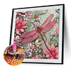 DIY Partial Special Shaped Drill Diamond Painting-Dragonfly