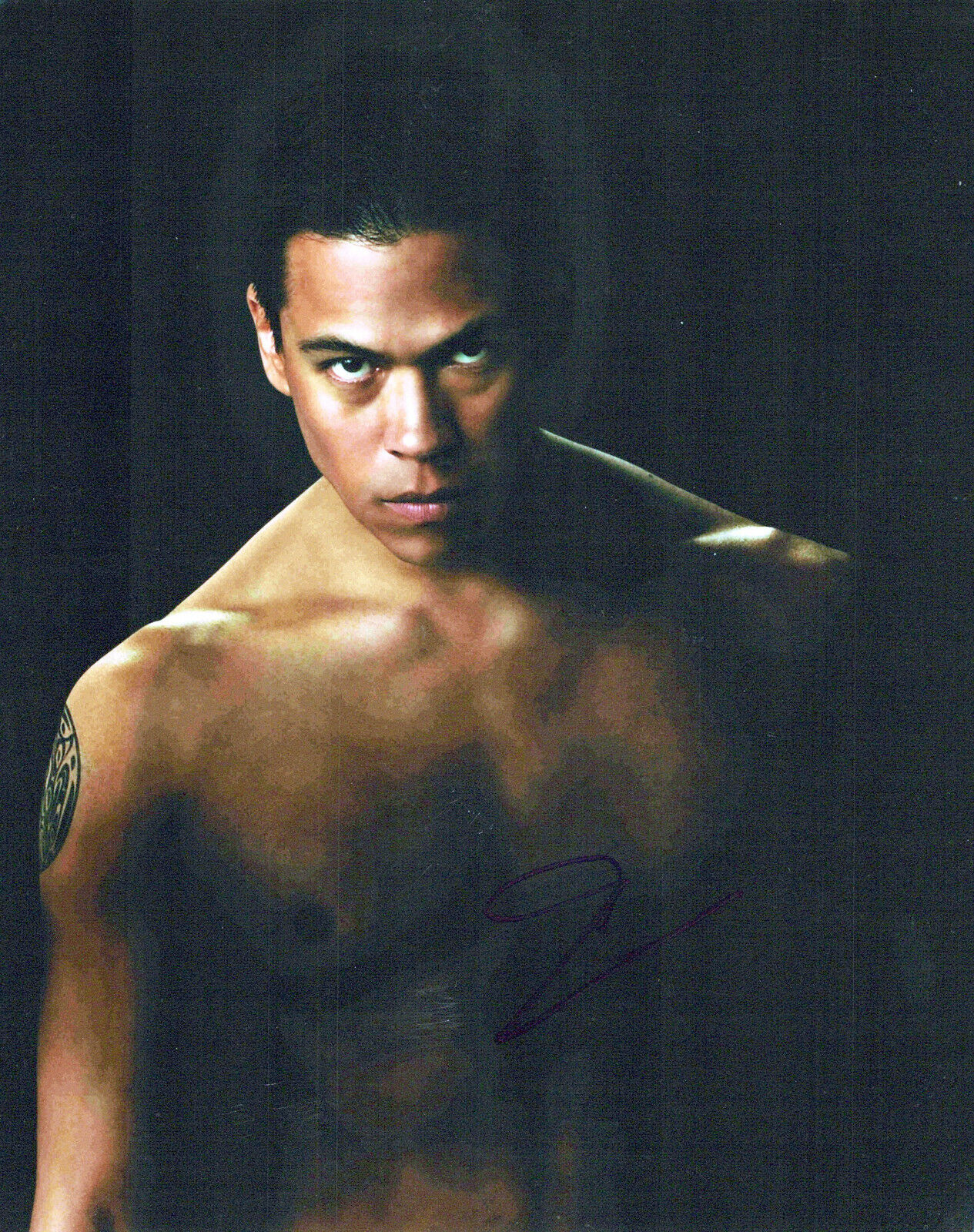 Chaske Spencer Twilight New Moon autographed Photo Poster painting signed 8x10 #1 Sam Uley