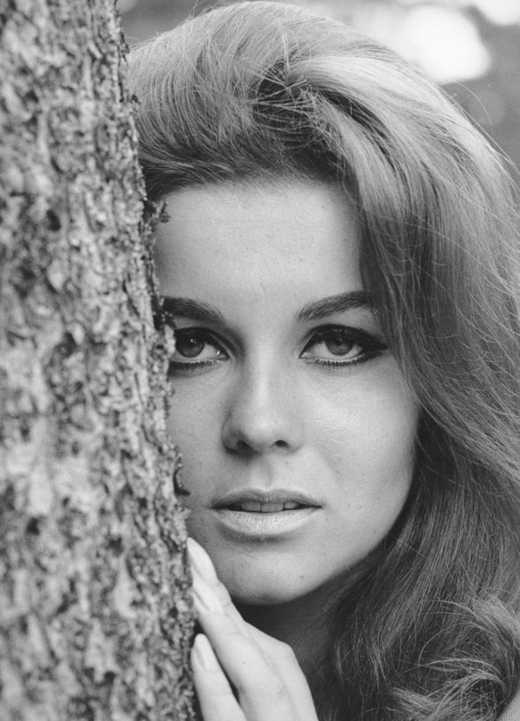 Ann Margret 8x10 Picture Simply Stunning Photo Poster painting Gorgeous Celebrity #2