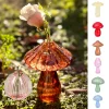 Vases en verre transparent Cactus et champignons