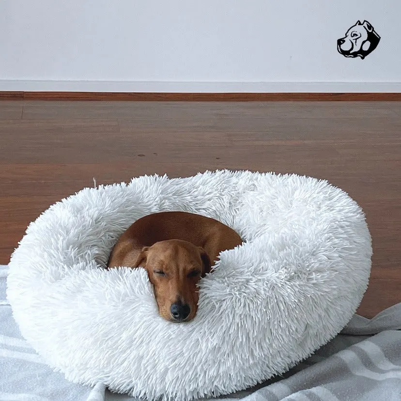 Calming Bed