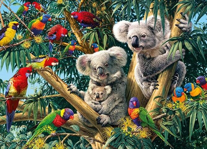 

Birds & Koalas on Trees – Paint By Numbers - 40*50CM, 501 Original