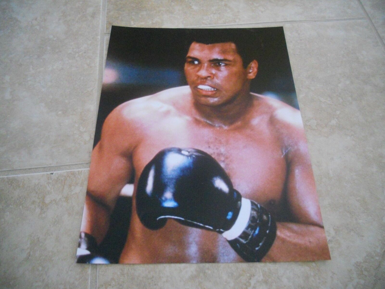 Muhammad Ali Cassius Clay 11x14 Vintage Color Boxing Photo Poster painting #9