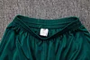 Joyfball 2024/2025 Palmeiras Long Zipped Jacket Dark Green Football Shirt 1:1 Thai Quality