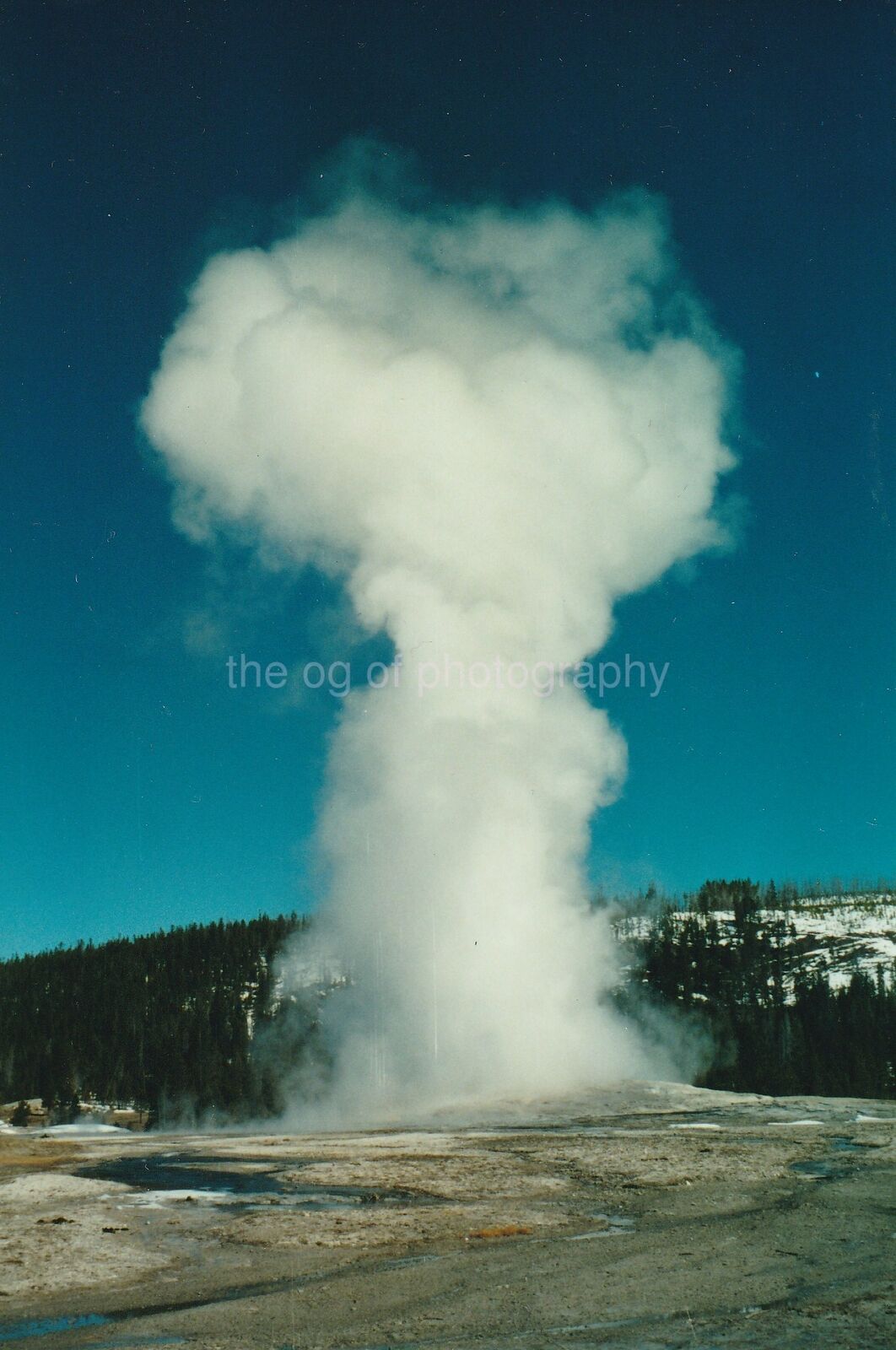 Yellowstone Geyser FOUND Photo Poster paintingGRAPH ColorOriginal VINTAGE 93 4 B