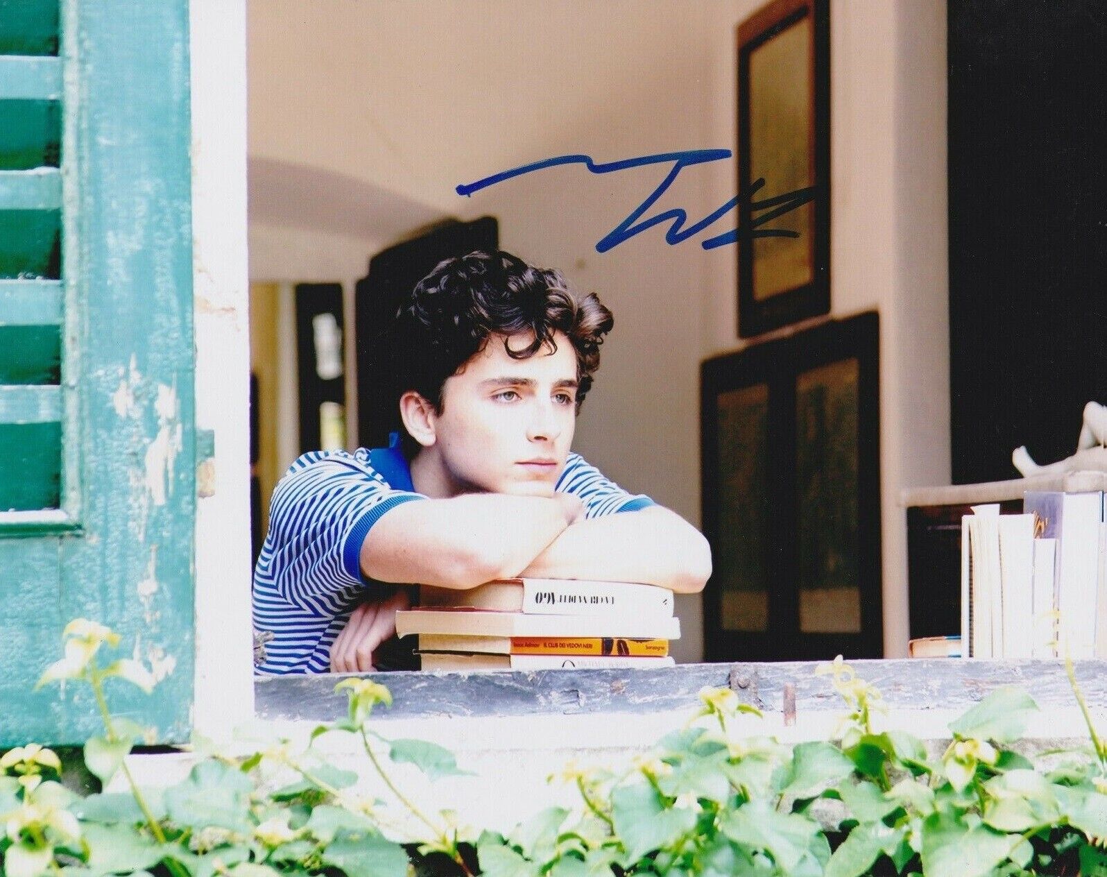 Timothee Chalamet Autographed Signed 8x10 Photo Poster painting ( Call Me By Your Name ) REPRINT