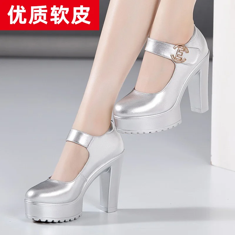 Breakj High Heel 12Cm Cheongsam Model Catwalk Shoes Women's Thick Soles Waterproof Platform Silver Round Head Stage Performance Shoes Women's Singles Shoes