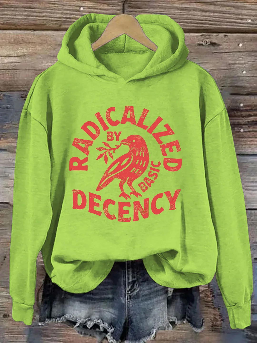 Radicalized By Basic Decency Hoodie
