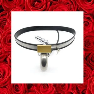 pornhint Pornhint Stainless Steel Male Chastity Cages With Anal Plug,Chastity Lock,Adult Game,Men Sex Toy,Penis Ring,Fetish Sex Toy