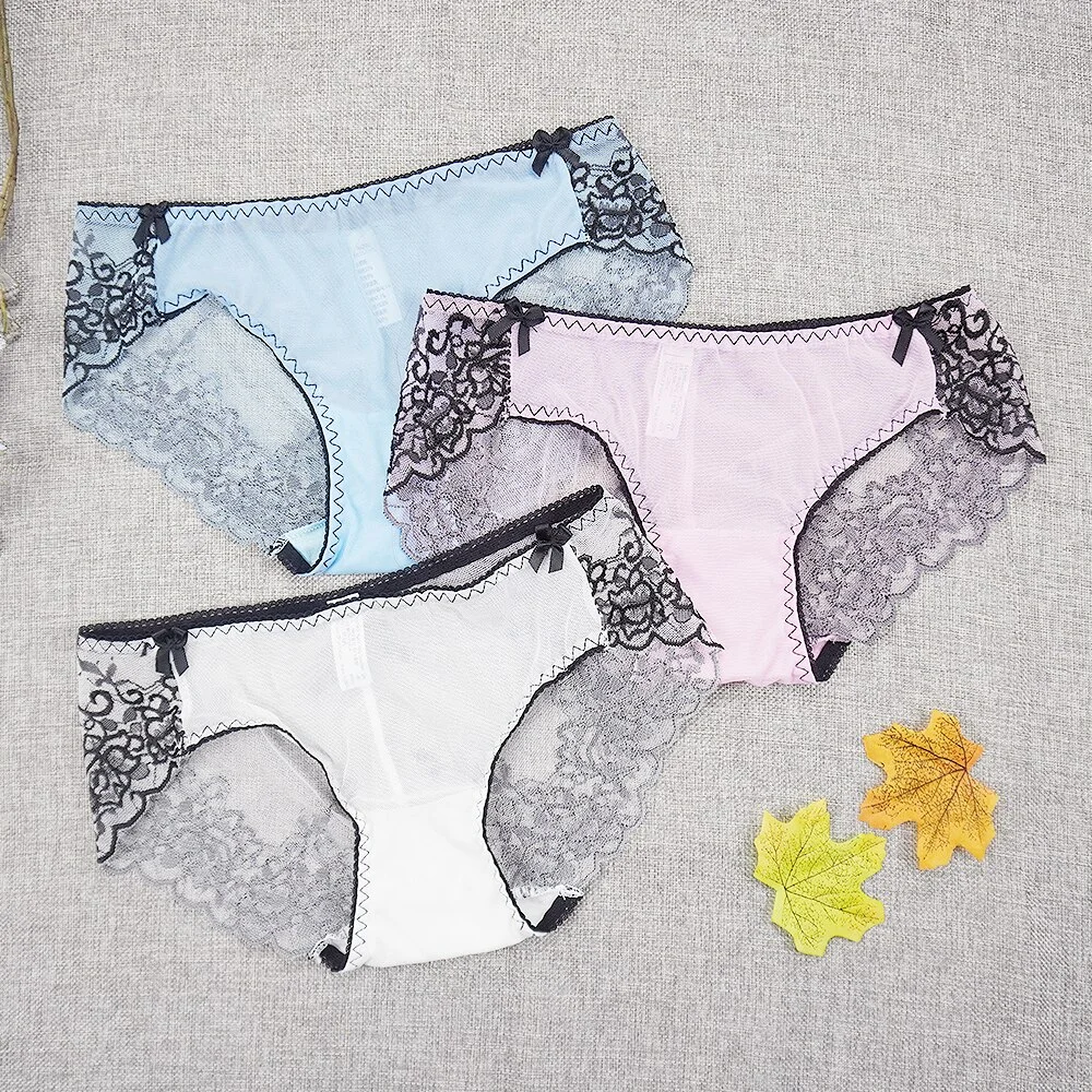 Billionm Embroidery Underwear Erotic Women Panties Lady Lace Sexy Transparent Briefs Mesh Underpants Shorts Panty