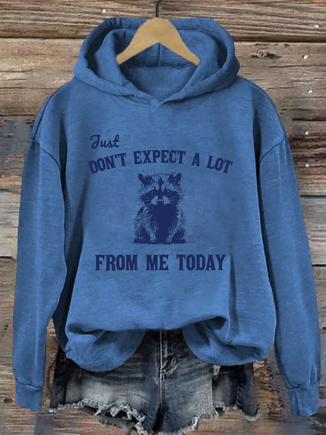 Don't Expect A Lot From Me Today Hoodie