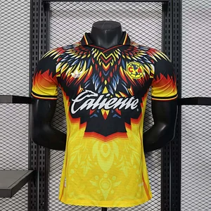 2025/2026 Player Version América Training Wear Jersey 1:1 Thai Quality