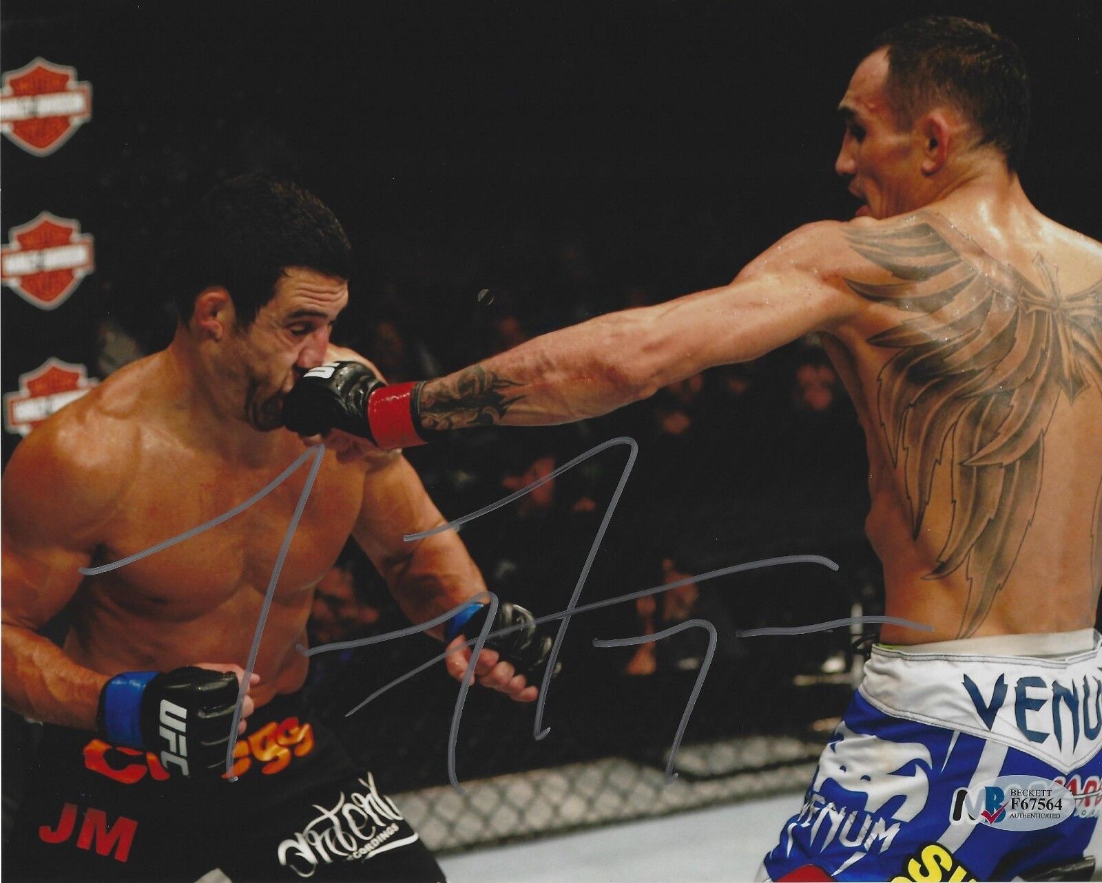 Tony Ferguson Signed UFC 8x10 Photo Poster painting BAS Beckett COA Fight Picture Autograph TUF1