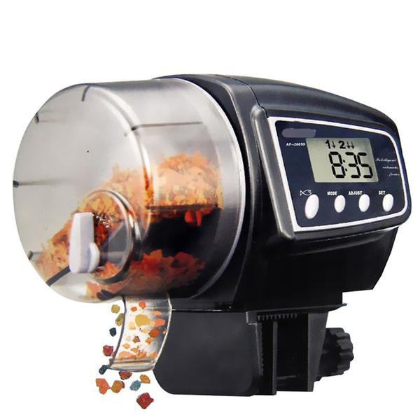 Auto Fish Feeder