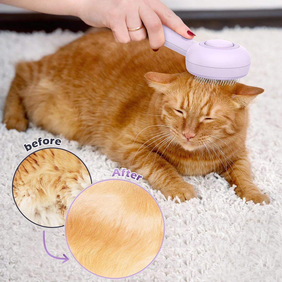  Cat Steam Brush, 3 in 1 Pet Steam Brush with Release Button and Water Tank,Steam Brush for Cats Dogs,Removes Static Flying Hair,Cat Steam Brush for Shedding,Pet Hair Removal Tool for Travel