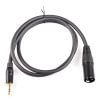 TRS 3.5 to XLR cable