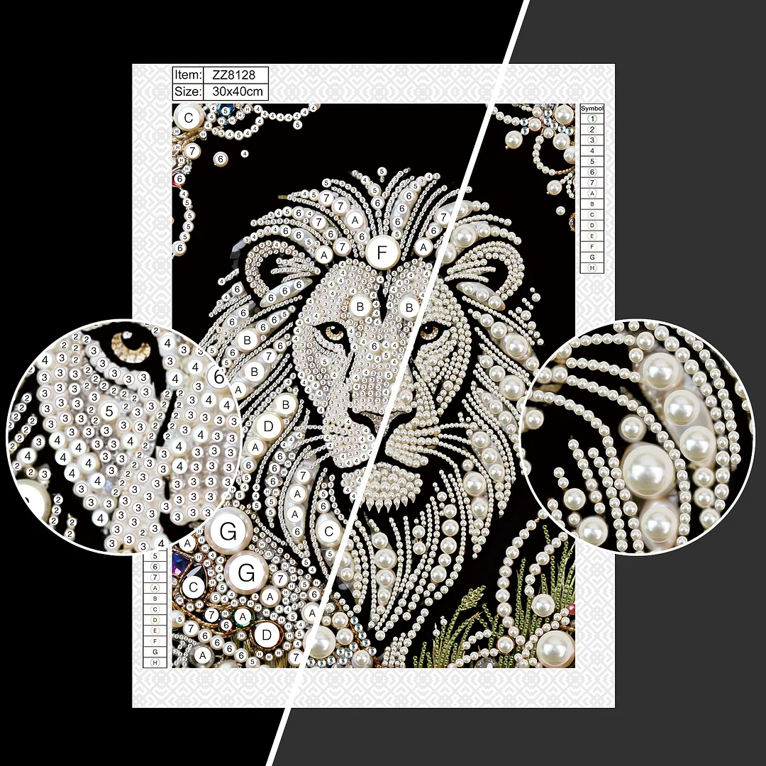 Lion Special Shaped 5D DIY Partial Drill Diamond Painting Kit Home Art 30x40cm