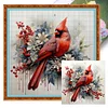(Stamped/Counted) Cardinal Bird- 11CT Cross Stitch 40*40cm