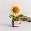 (Finished Product)Crochet Flower Potted Doll with Positive Card Desktop Ornaments, Potted Plants, Bouquets Gift Home Decor