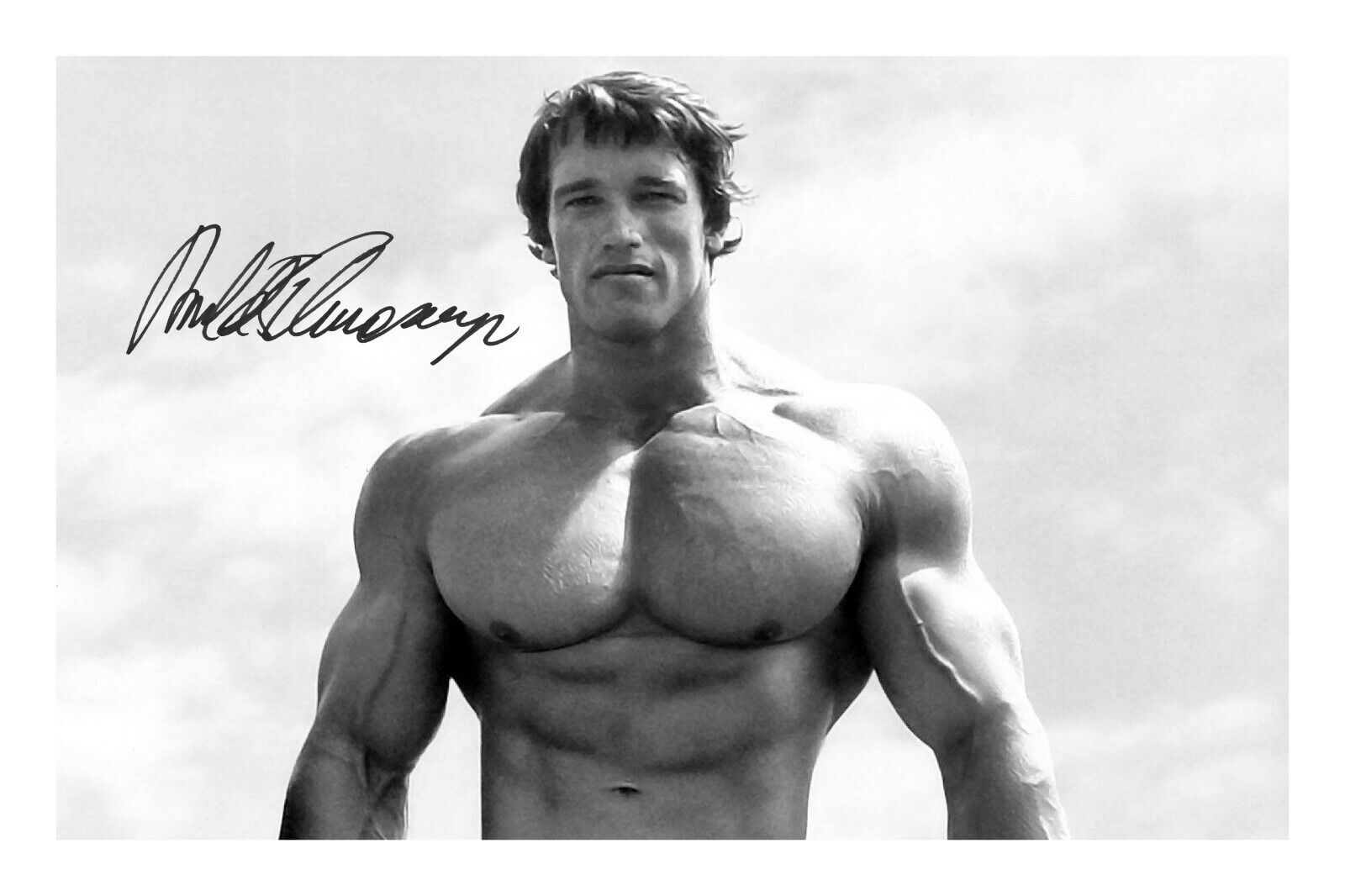 Arnold Schwarzenegger Signed A4 Photo Poster painting Print Autograph Body Buiilding Gym