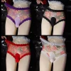 Sexy fully transparent mesh printed mid-waist lace bullet separate panties
