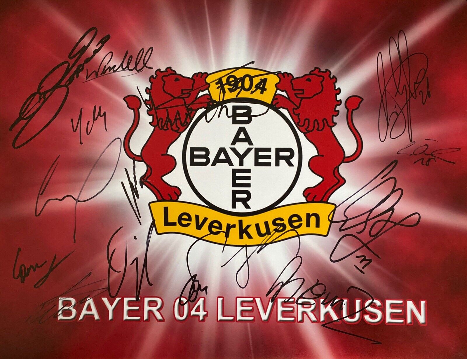 Bayer 04 Leverkusen Genuine Hand Signed 16x12 Squad Photo Poster painting Inc Volland PROOF