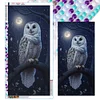 Eule - runde Bohrer-Diamantmalerei - 40 * 80cm (große Größe)