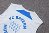 Joyfball 2025/2026 Bayern Munich Vest training Jersey Grey Retro Edition 1:1 Thai Quality