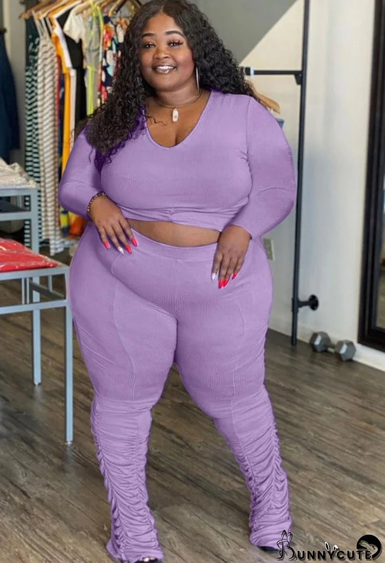 Autumn Plus Size Purple Shirt and Stacked Pants Set