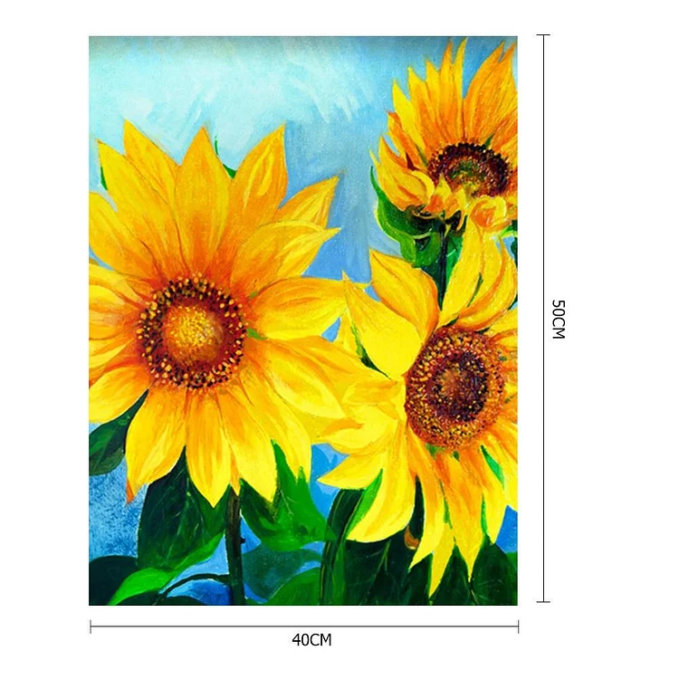 Oil Paint by Numbers - flowers (40*50cm)