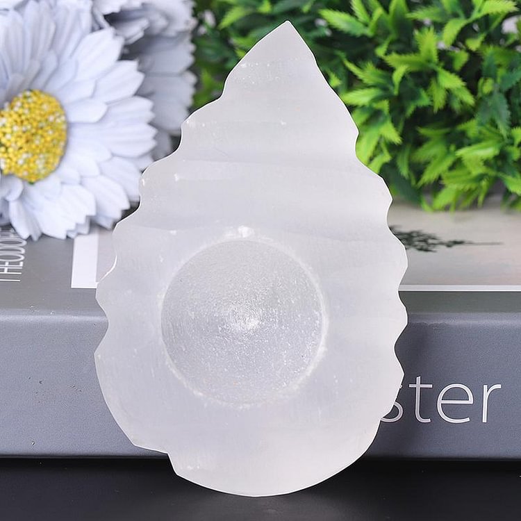 4.5" Shell Shape Selenite Candle Holder Bulk