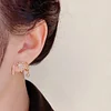 Docenin™Eight Awn Star Crystal Earrings