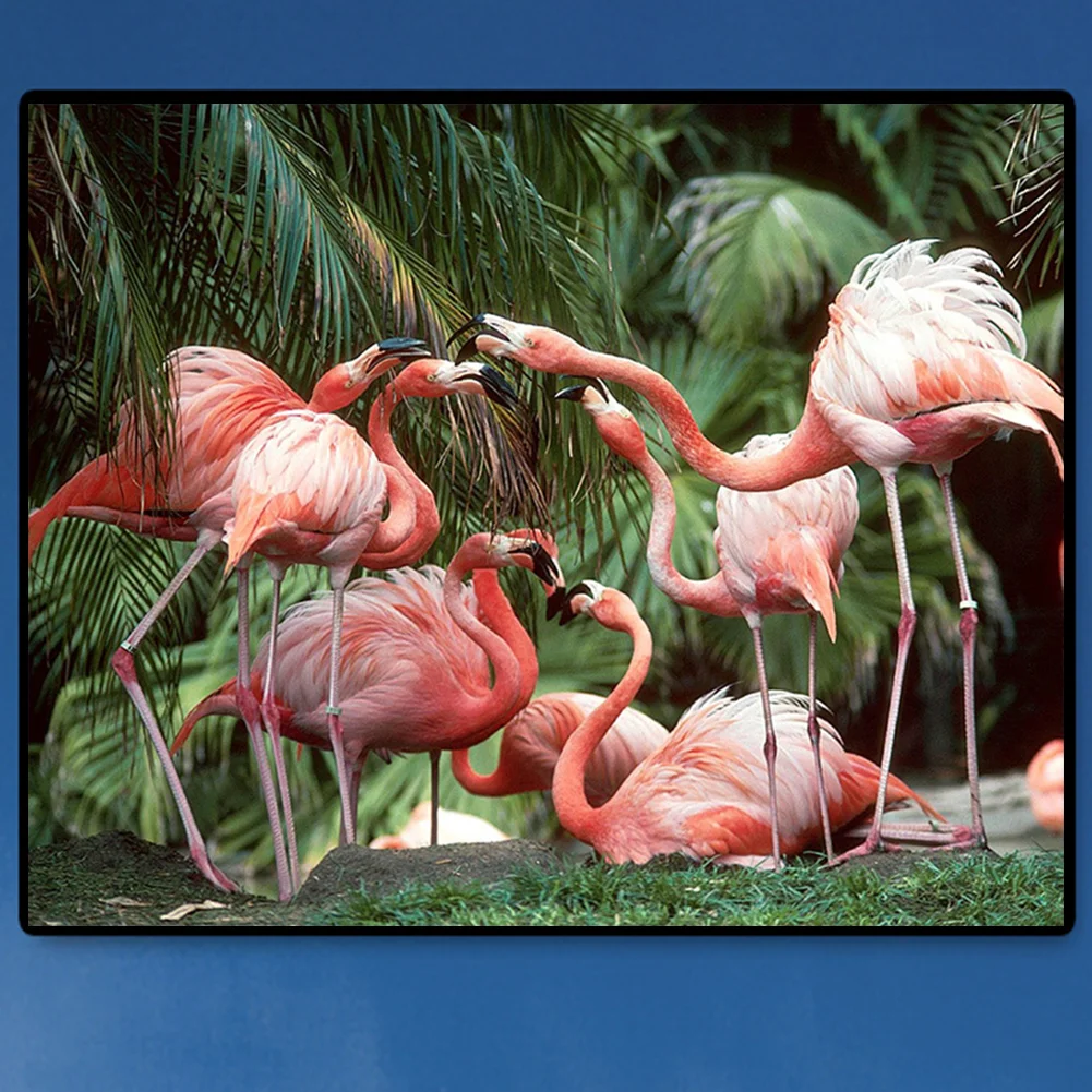 DIY Paint By Number 50*40cm - Flamingo