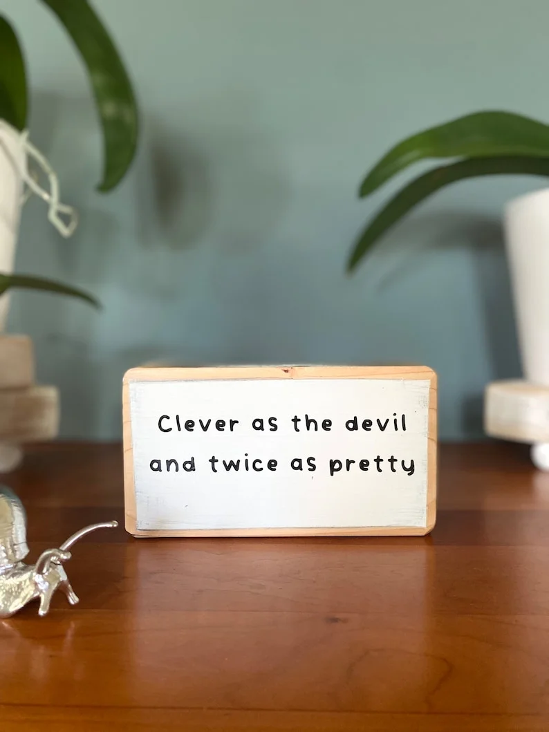 Last Day 70% OFF--Clever as the devil and twice as pretty