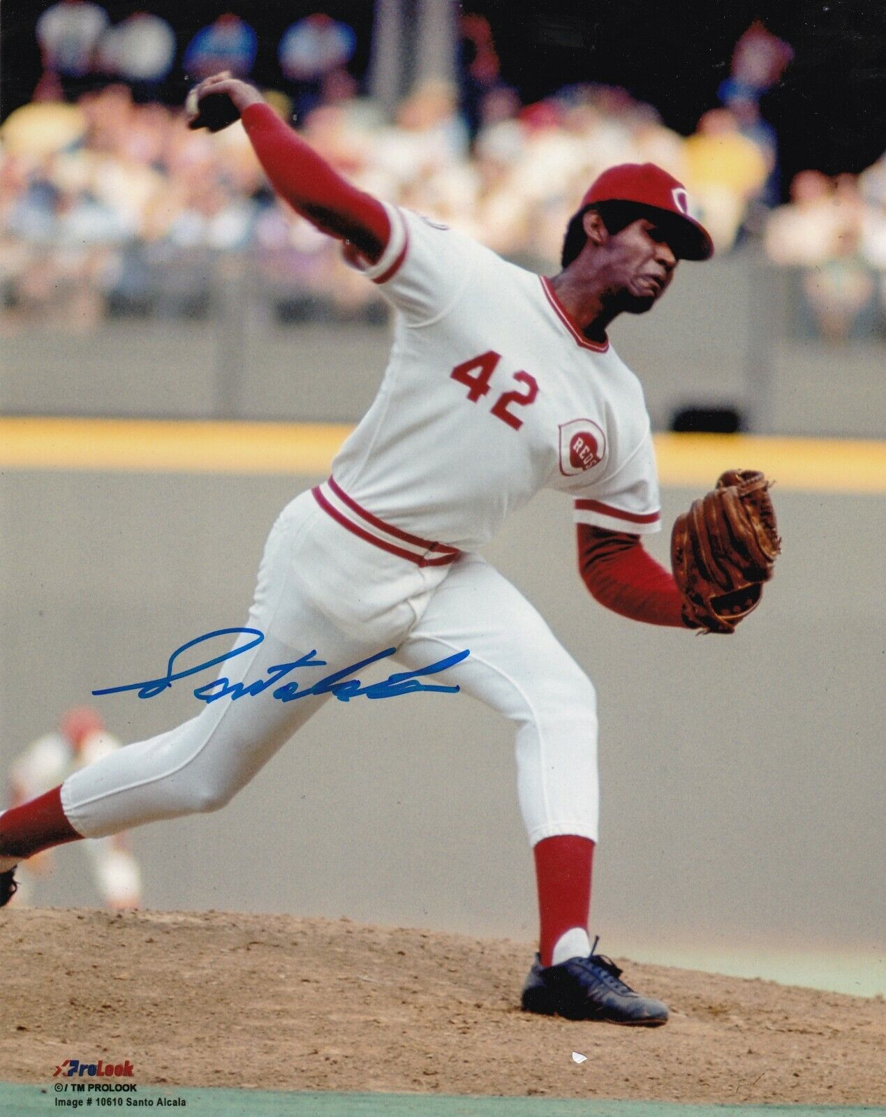 SANTO ALCALA CINCINNATI REDS ACTION SIGNED 8x10