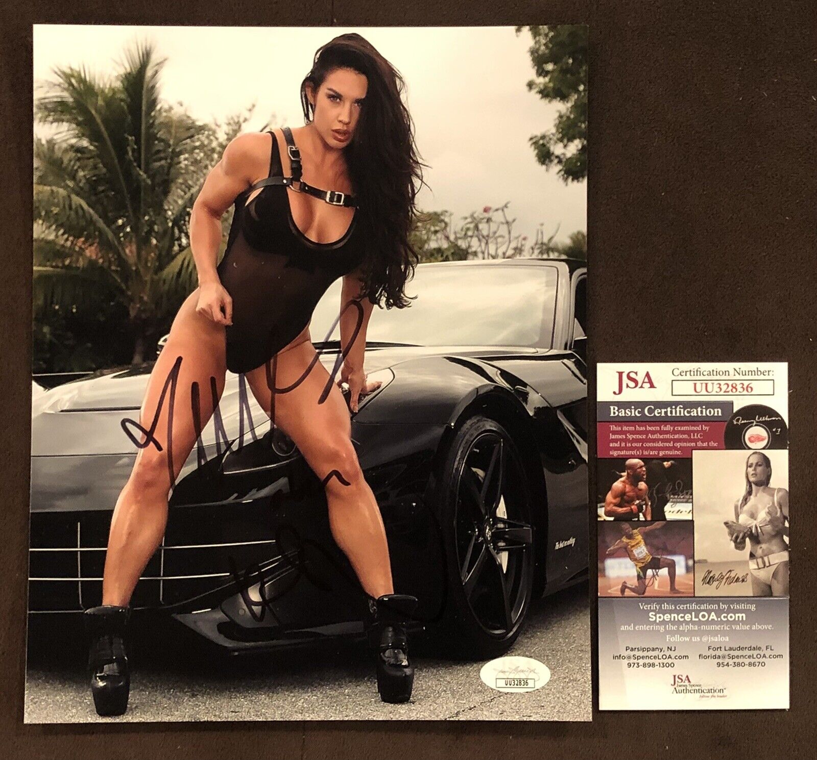 Celeste Bonin Kaitlyn SIGNED 8X10 Photo Poster painting Autograph Sexy Fitness Model ??WWE Diva