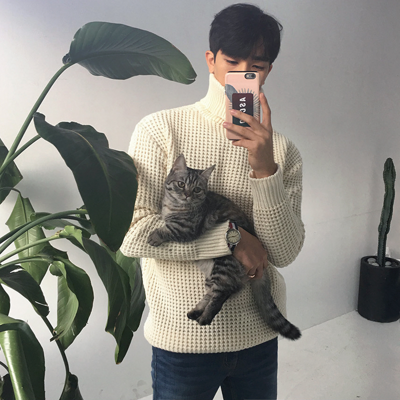 Gamechancemagic 2025 Autumn Winter Men's Turtleneck Sweater Knitting Solid Color Pullovers Rollneck Warm Men Jumper Loose Knitwear Top C83