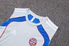 Joyfball 2025/2026 Bayern Munich Vest training Jersey Grey Retro Edition 1:1 Thai Quality