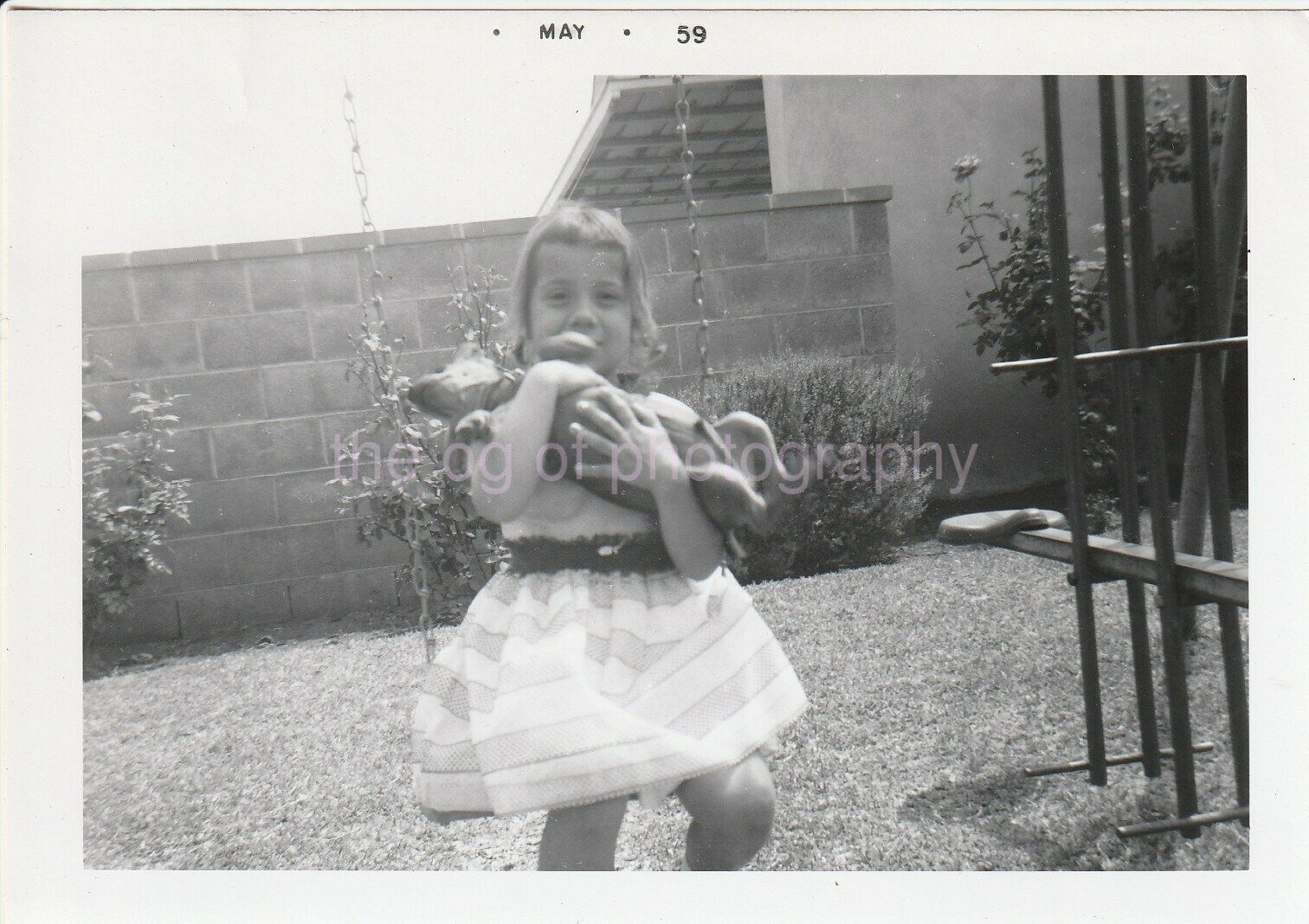 A Little Girl In A White Dress With Her Dog On A Swing FOUND Photo Poster painting bw 97 14 K