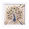 5D DIY Partial Special Shaped Drill Diamond Painting Kit Peacock Decor With Frame Kit 18x18cm