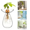 Avocado Seed Starter Vase Transparent Glass Avocado Tree Flower Vase for Balcony